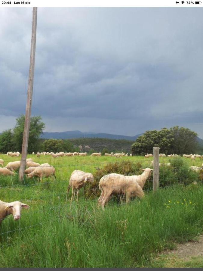 El Pueyo de AraguásPreciosas Vistas A La Montana, Luminoso Y Acogedorアパートメント エクステリア 写真