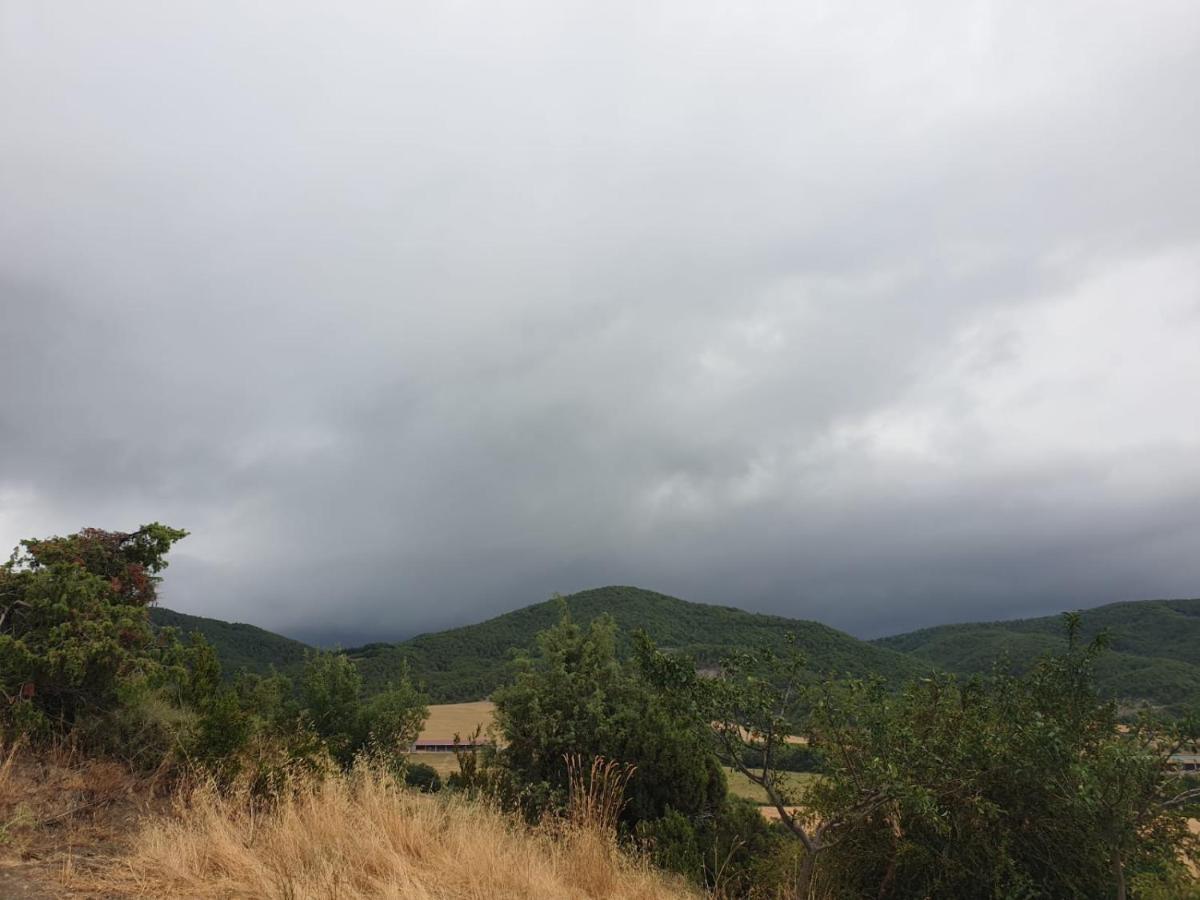 El Pueyo de AraguásPreciosas Vistas A La Montana, Luminoso Y Acogedorアパートメント エクステリア 写真